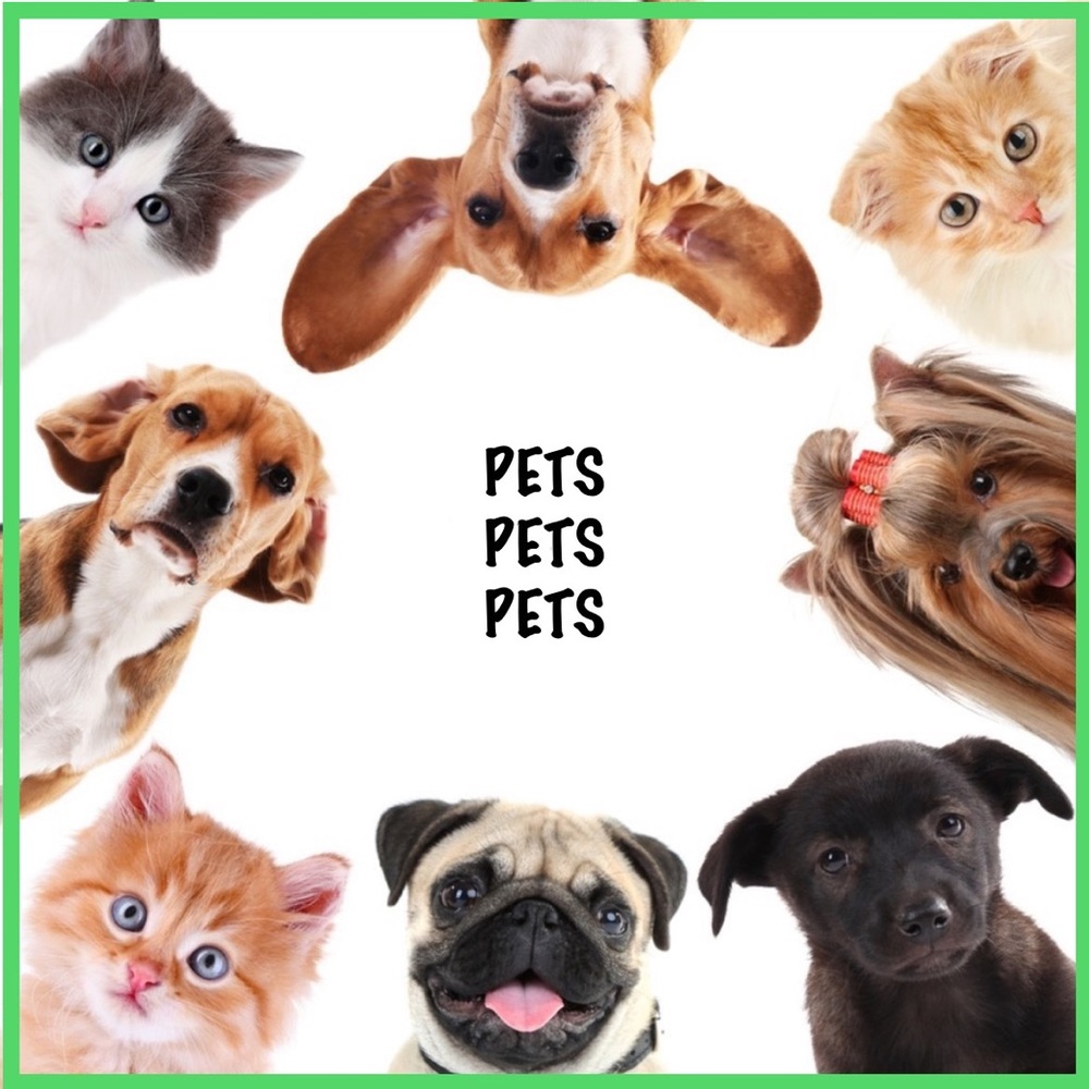 PETS